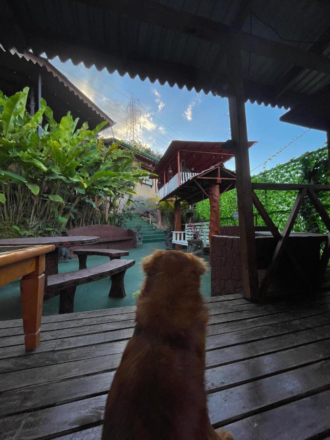 Dreams Lodge Orosi Cartago Ngoại thất bức ảnh