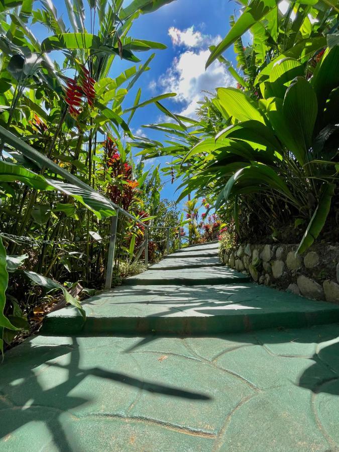 Dreams Lodge Orosi Cartago Ngoại thất bức ảnh